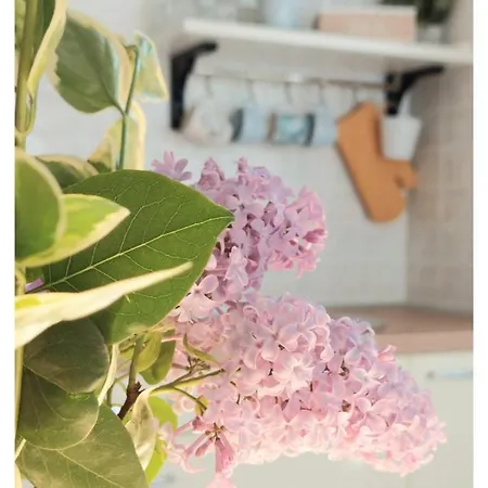 House Old Town Nyaraló Trogir