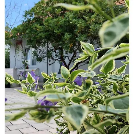 House Old Town Дом отдыха