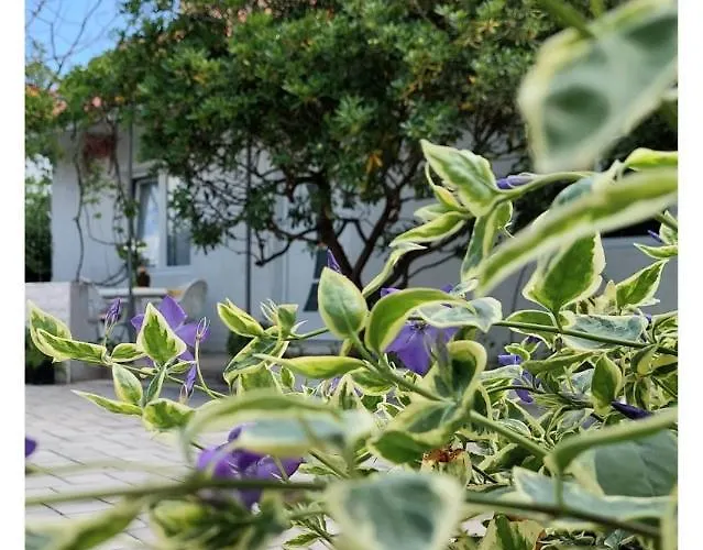 House Old Town Hébergement de vacances