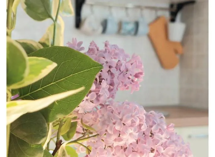 House Old Town Hébergement de vacances Trogir